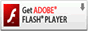 Flash Player